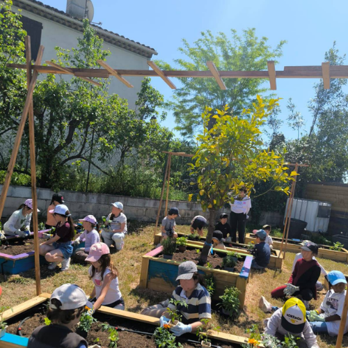 Des enfants découvrent les plantations dans un jardin